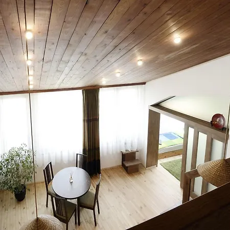 Artistic Penthouse Sofia