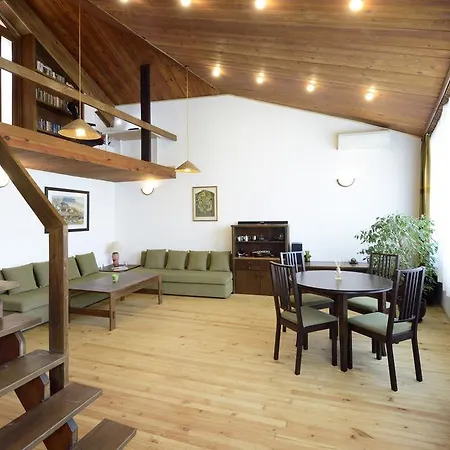 Artistic Penthouse Sofia